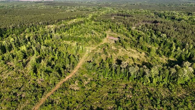 The Lone Oak Tract