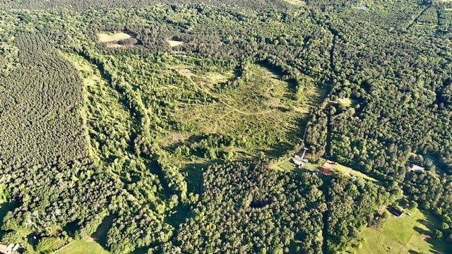 The Lone Oak Tract
