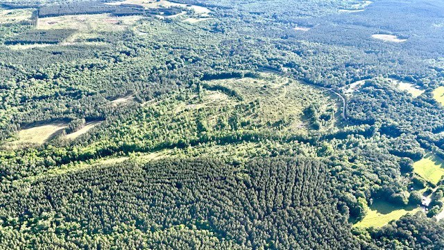 The Lone Oak Tract