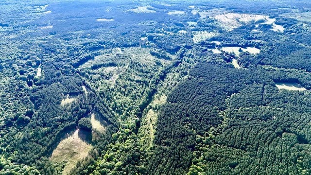 The Lone Oak Tract