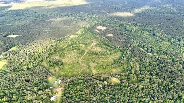 The Lone Oak Tract