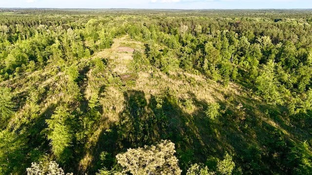 The Lone Oak Tract