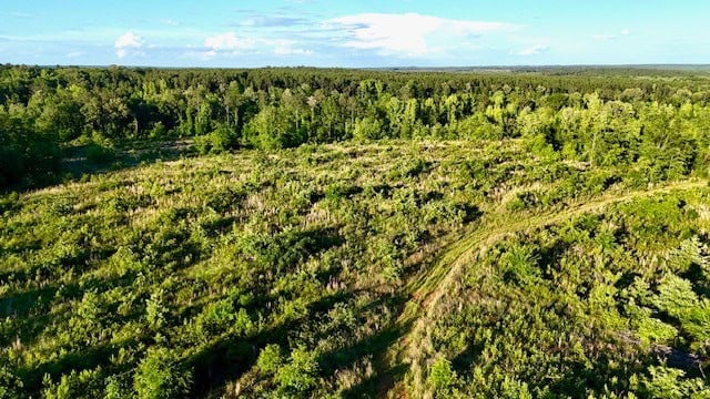 The Lone Oak Tract