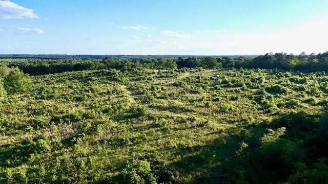 The Lone Oak Tract