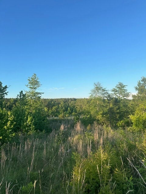 The Lone Oak Tract