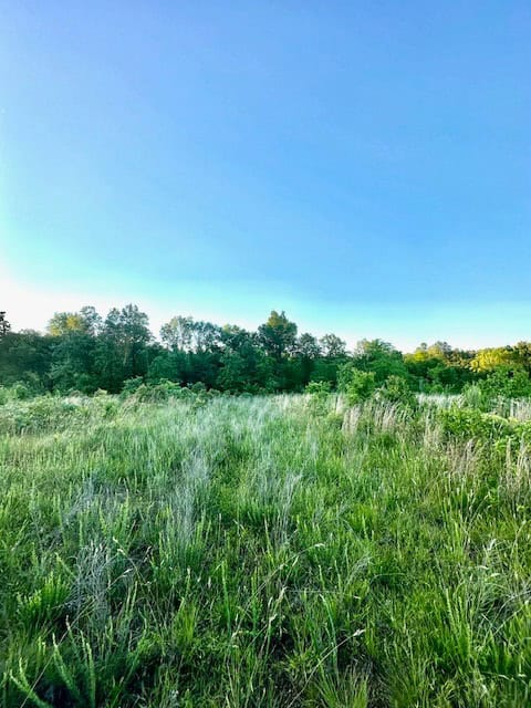 The Lone Oak Tract