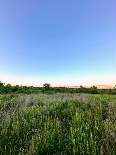 The Lone Oak Tract