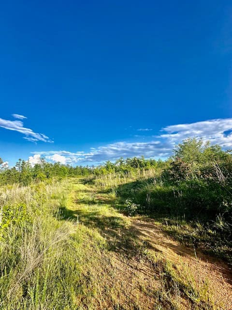 The Lone Oak Tract
