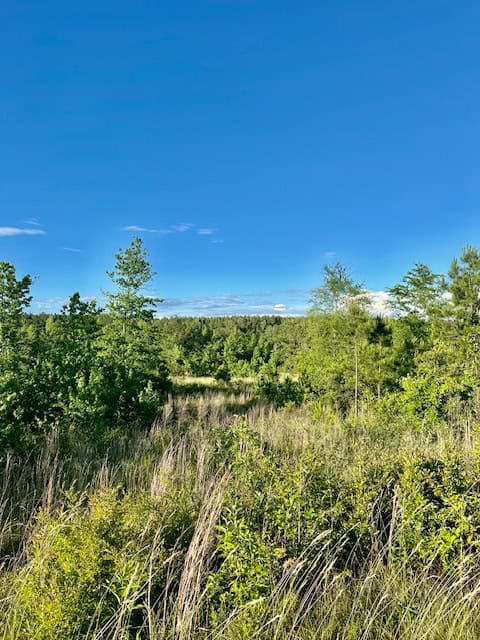 The Lone Oak Tract