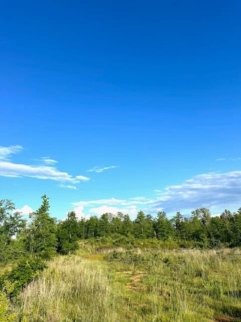 The Lone Oak Tract