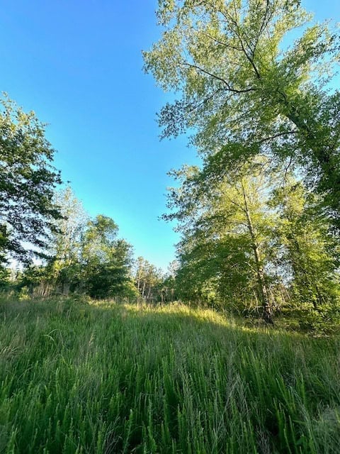 The Lone Oak Tract