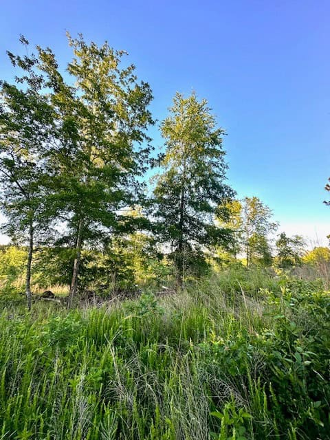 The Lone Oak Tract