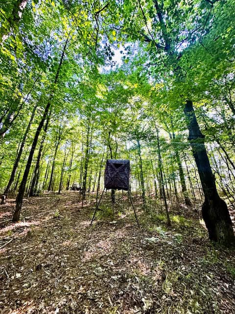 The Cane Ridge Tract
