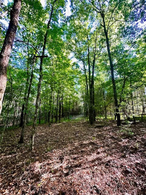 The Cane Ridge Tract