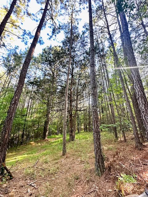 The Cane Ridge Tract