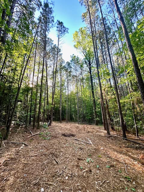 The Cane Ridge Tract