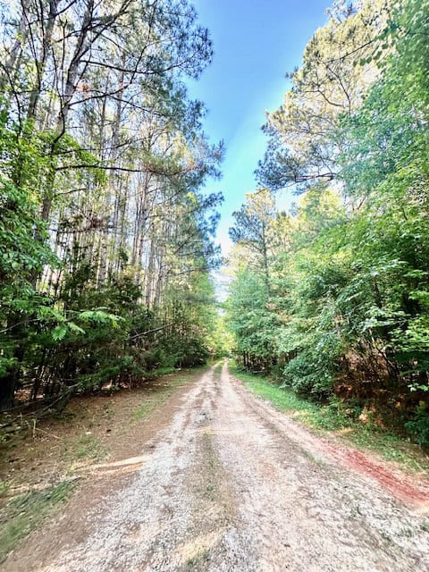 The Cane Ridge Tract