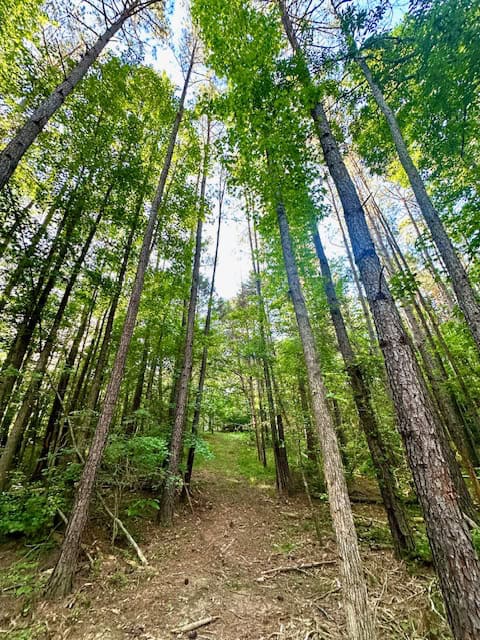 The Cane Ridge Tract