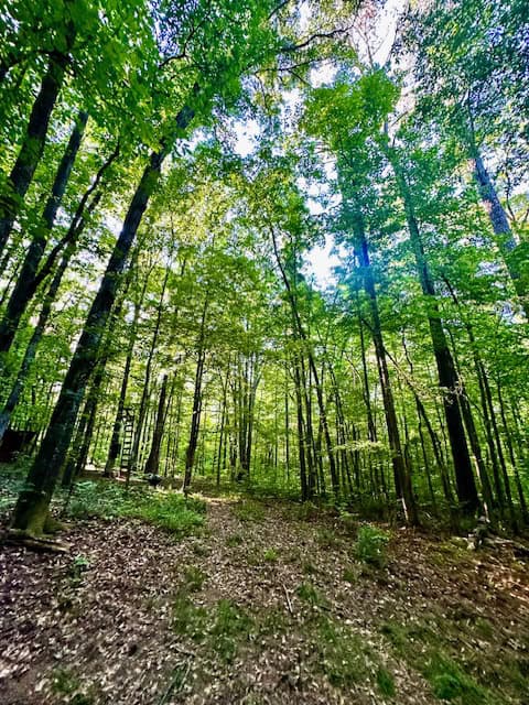 The Cane Ridge Tract