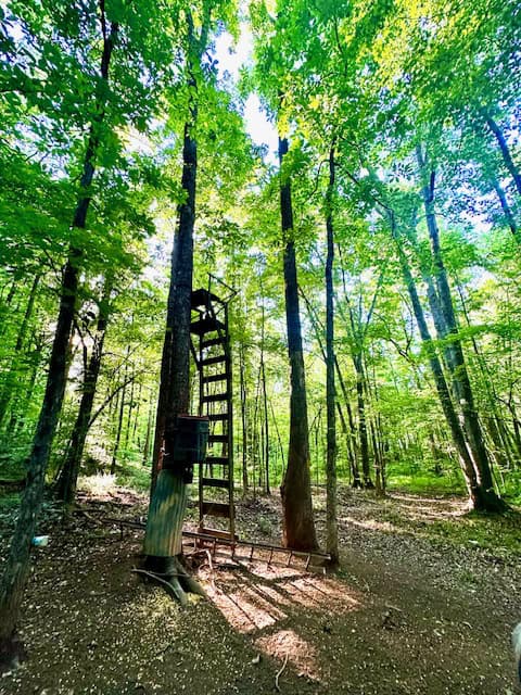 The Cane Ridge Tract