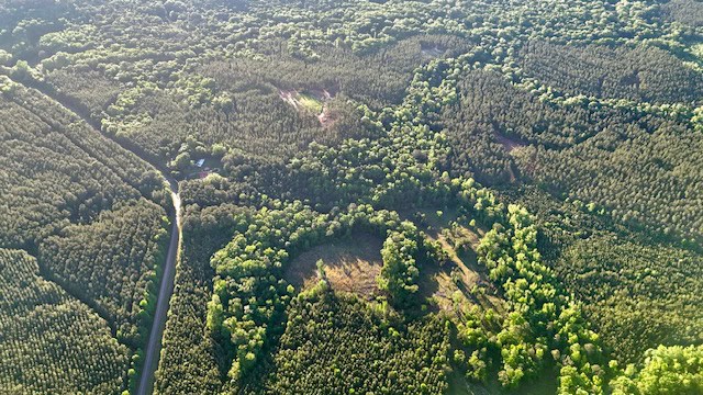 The Cane Ridge Tract