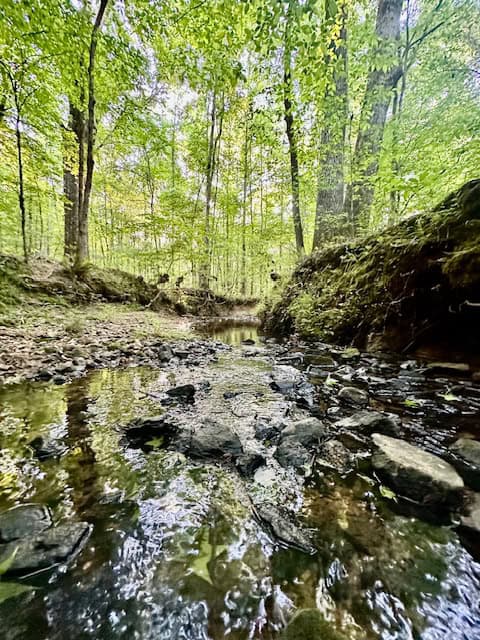 The Cane Ridge Tract