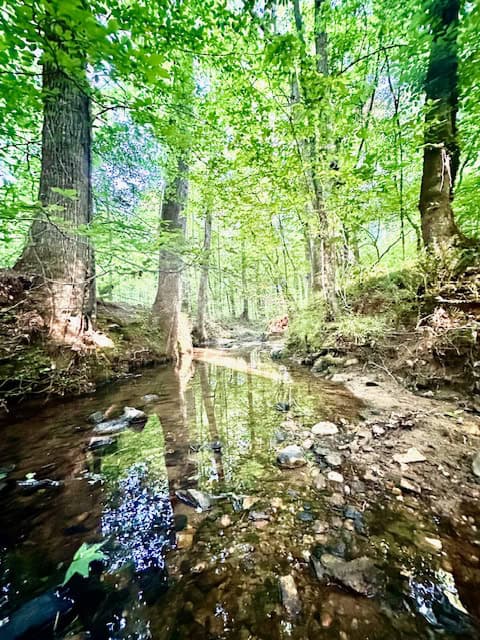 The Cane Ridge Tract