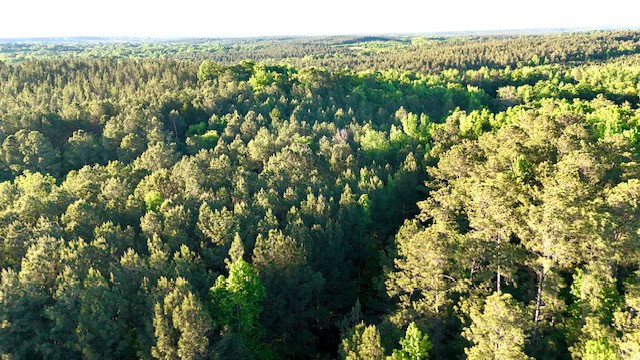 The Cane Ridge Tract