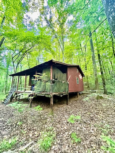 The Cane Ridge Tract
