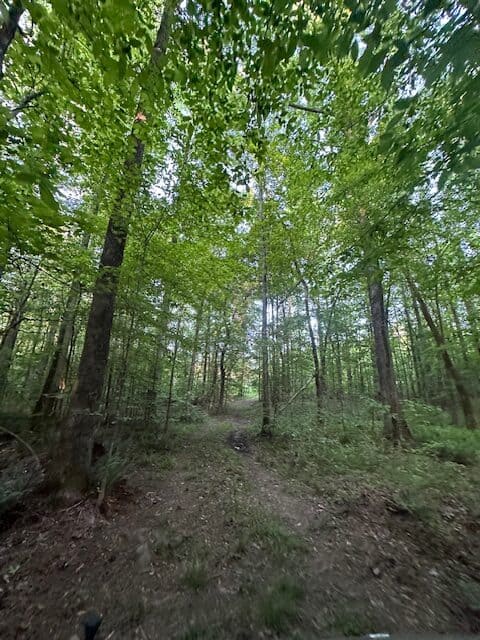 The Cane Ridge Tract