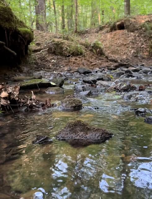 The Cane Ridge Tract
