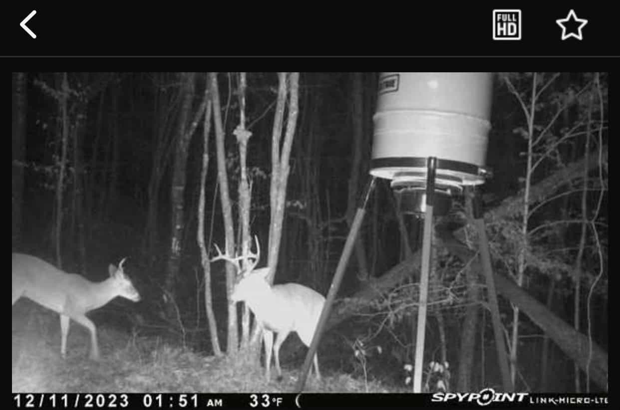The Cane Ridge Tract