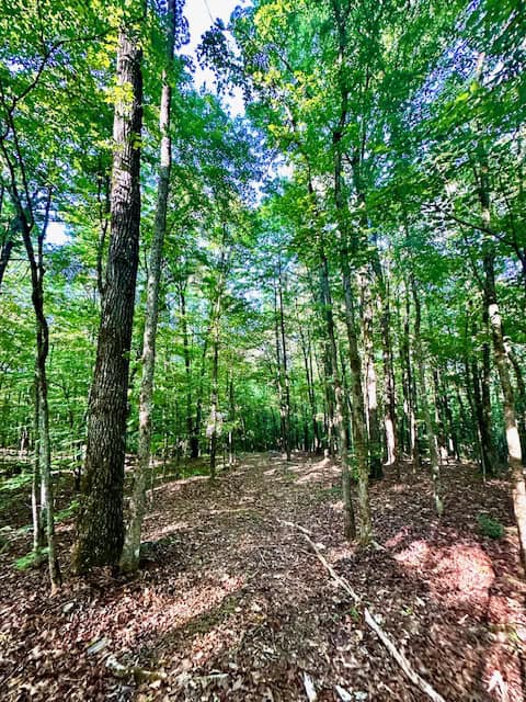 The Cane Ridge Tract