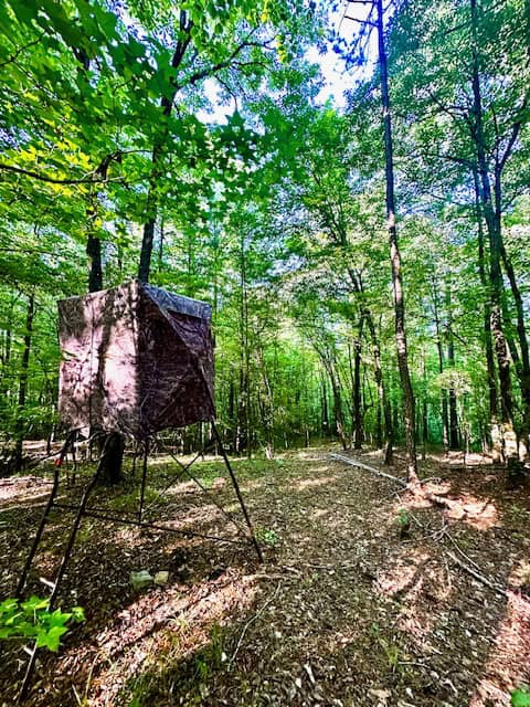 The Cane Ridge Tract