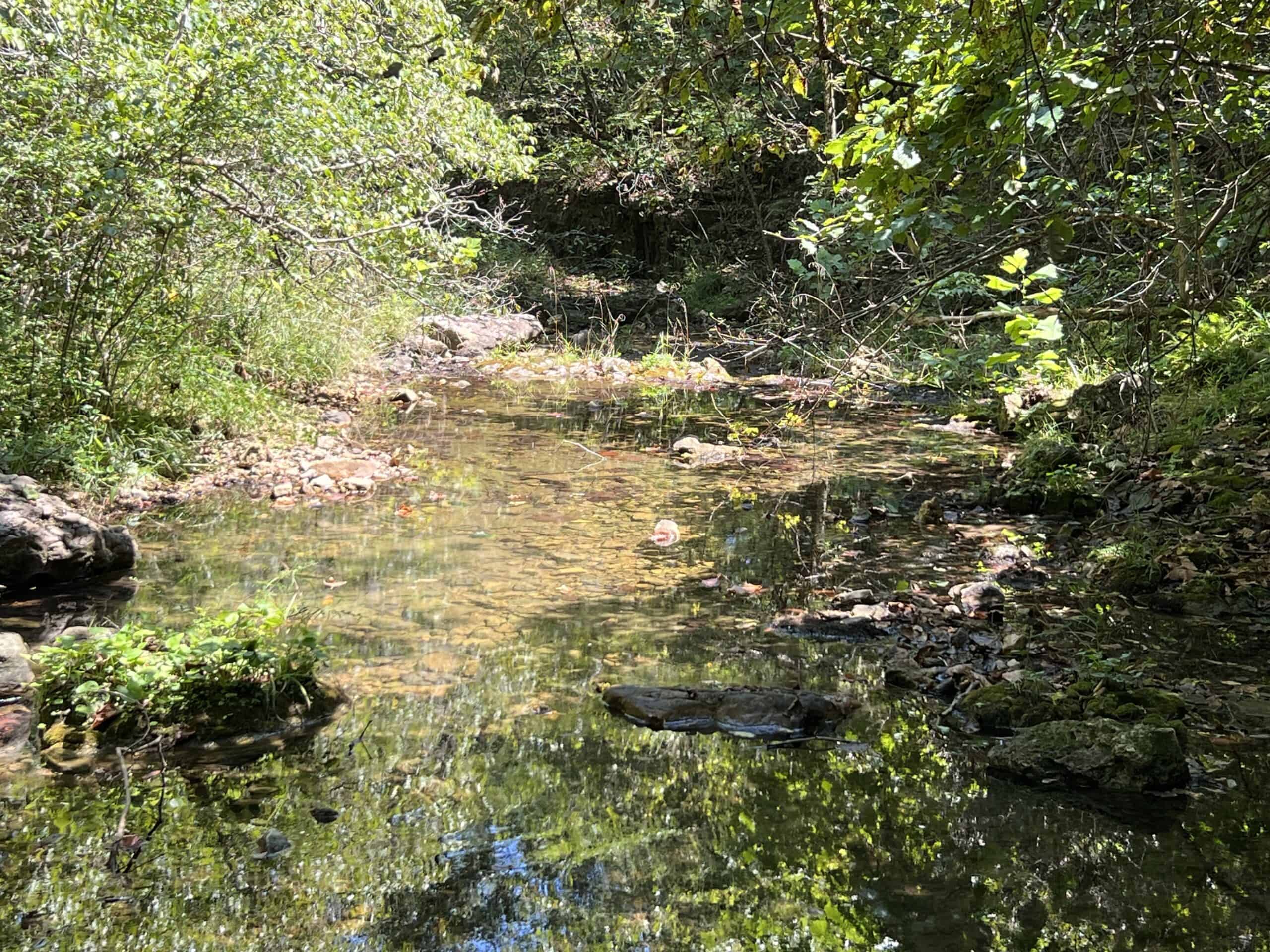 OZARKS  HUNTING & RECREATIONAL ACREAGE WITH A CAVE IN ARKANSAS