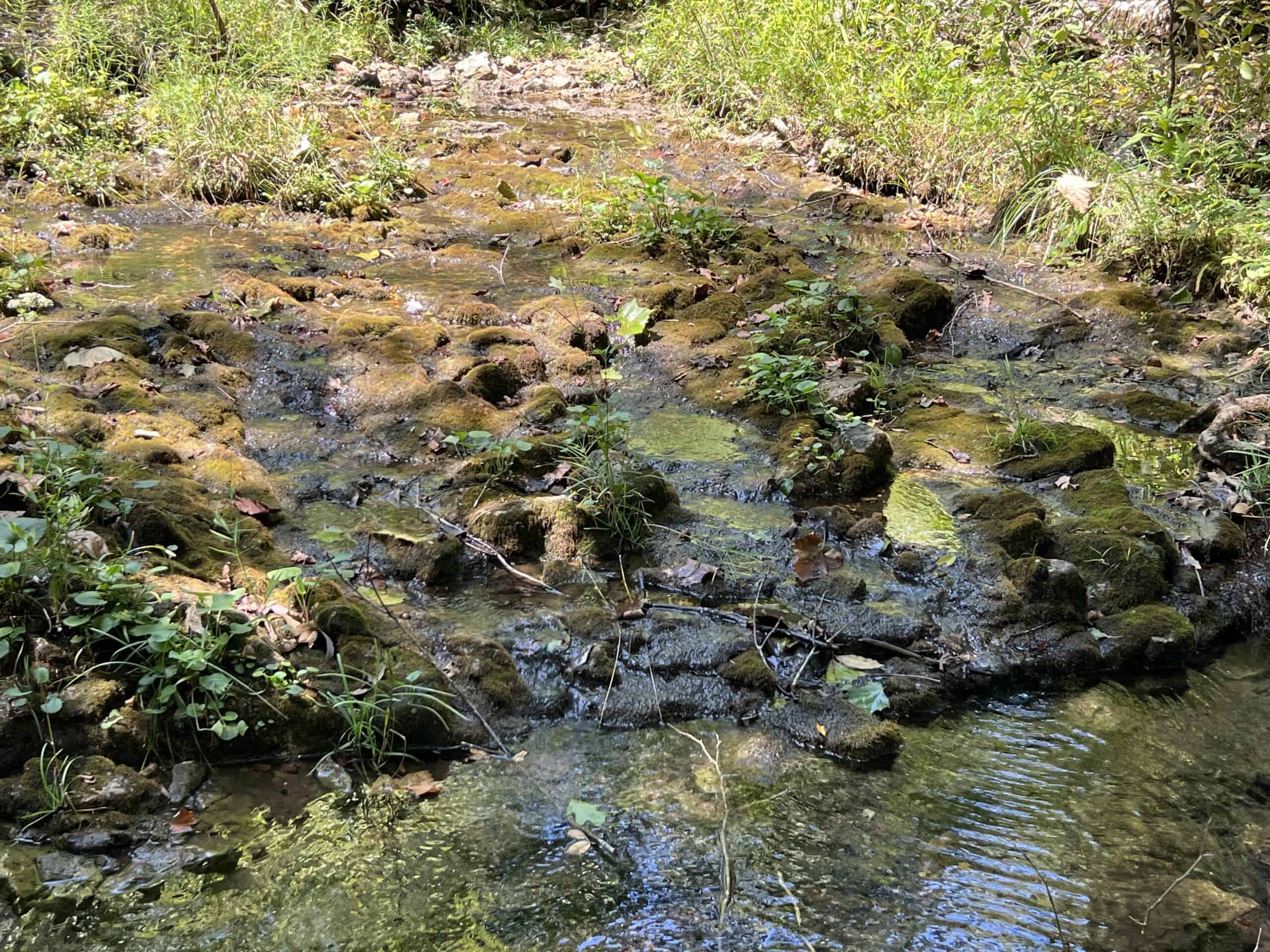 OZARKS  HUNTING & RECREATIONAL ACREAGE WITH A CAVE IN ARKANSAS
