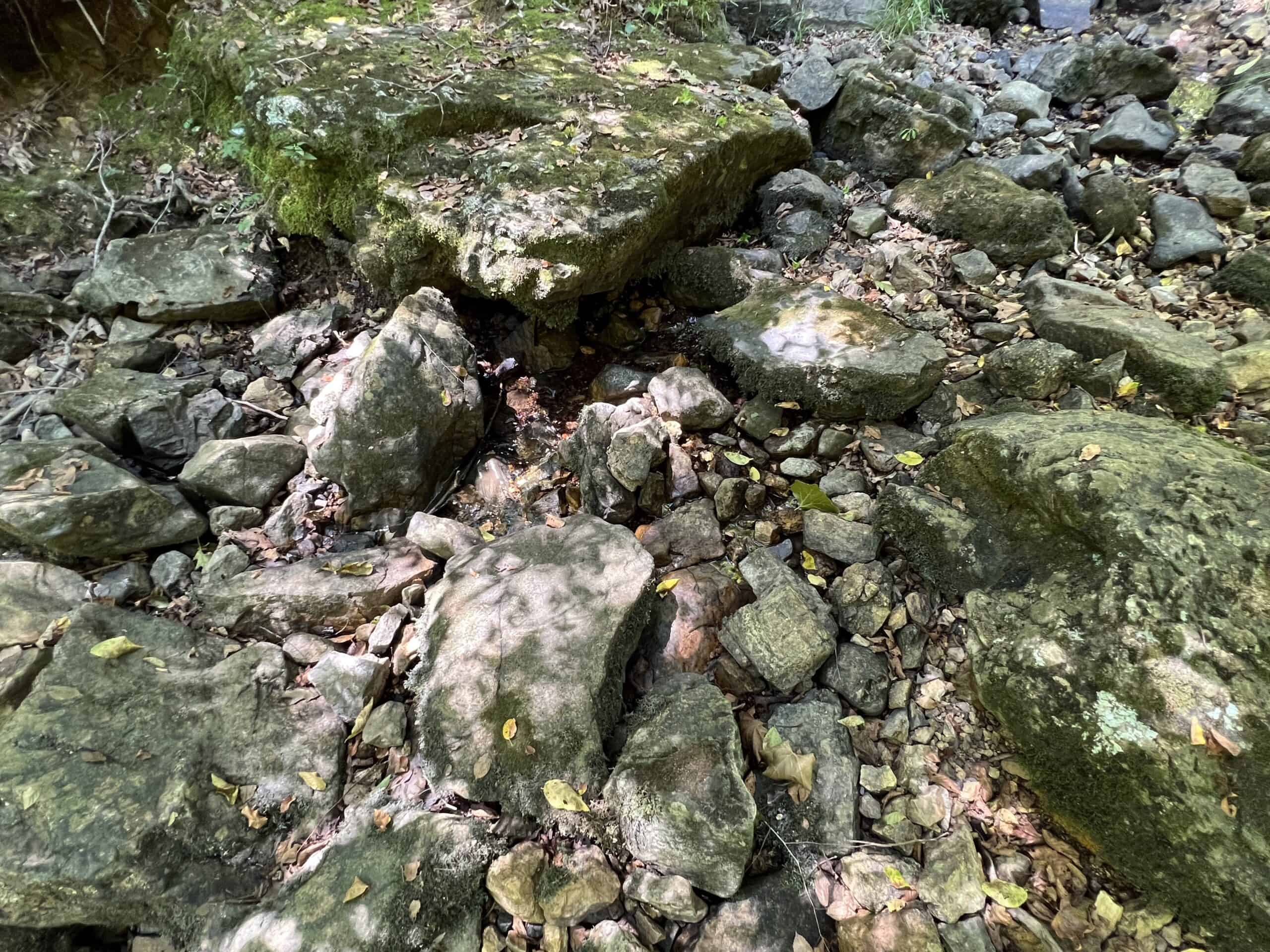 OZARKS  HUNTING & RECREATIONAL ACREAGE WITH A CAVE IN ARKANSAS