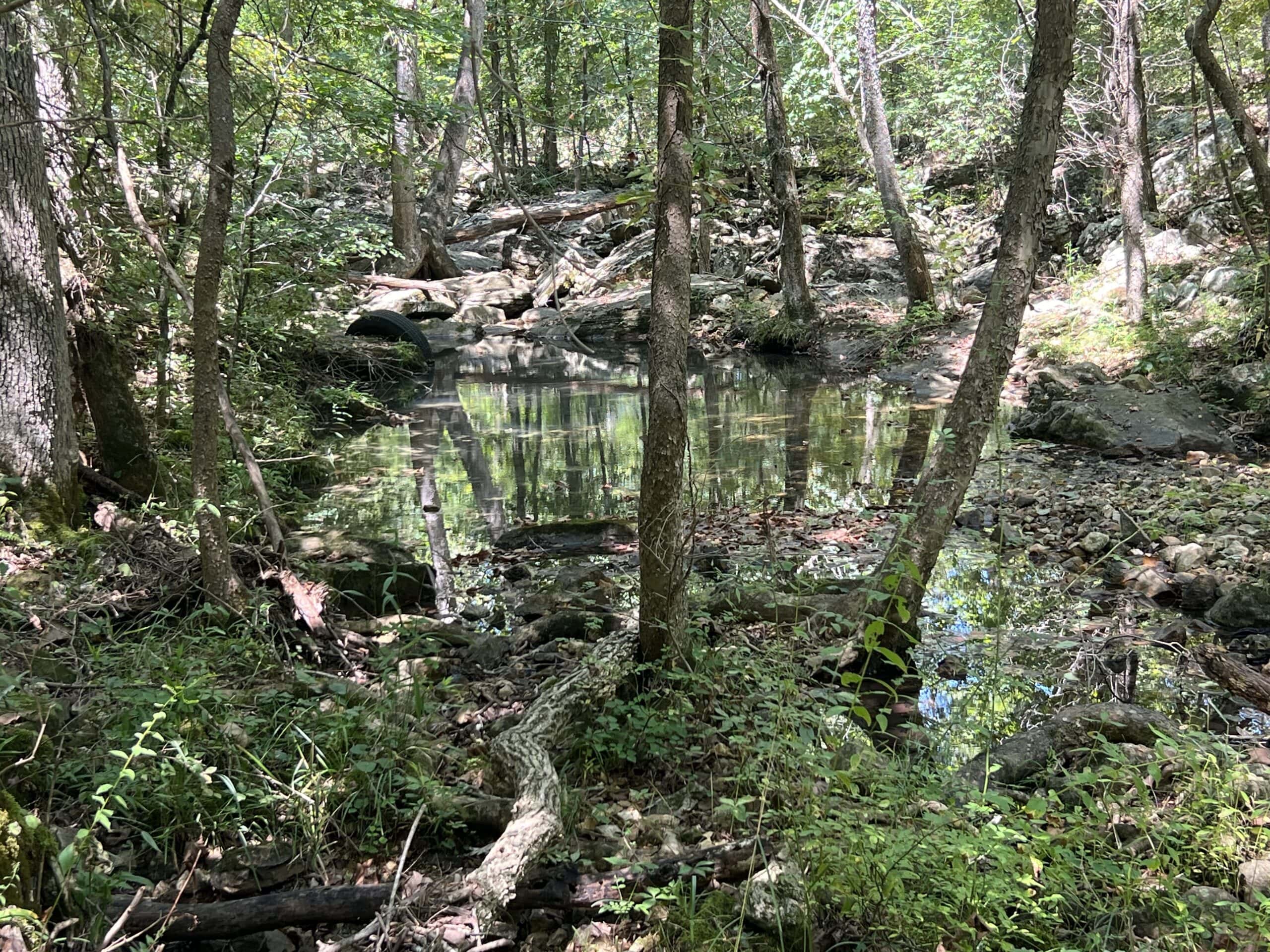 OZARKS  HUNTING & RECREATIONAL ACREAGE WITH A CAVE IN ARKANSAS