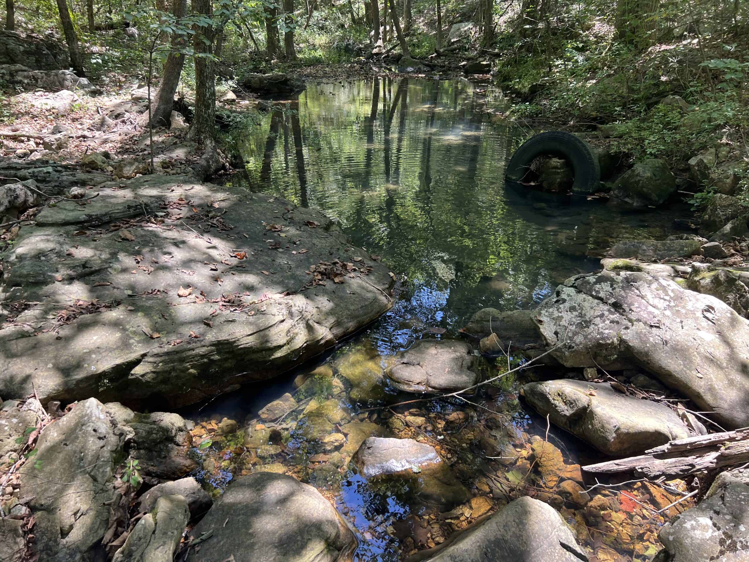 OZARKS  HUNTING & RECREATIONAL ACREAGE WITH A CAVE IN ARKANSAS