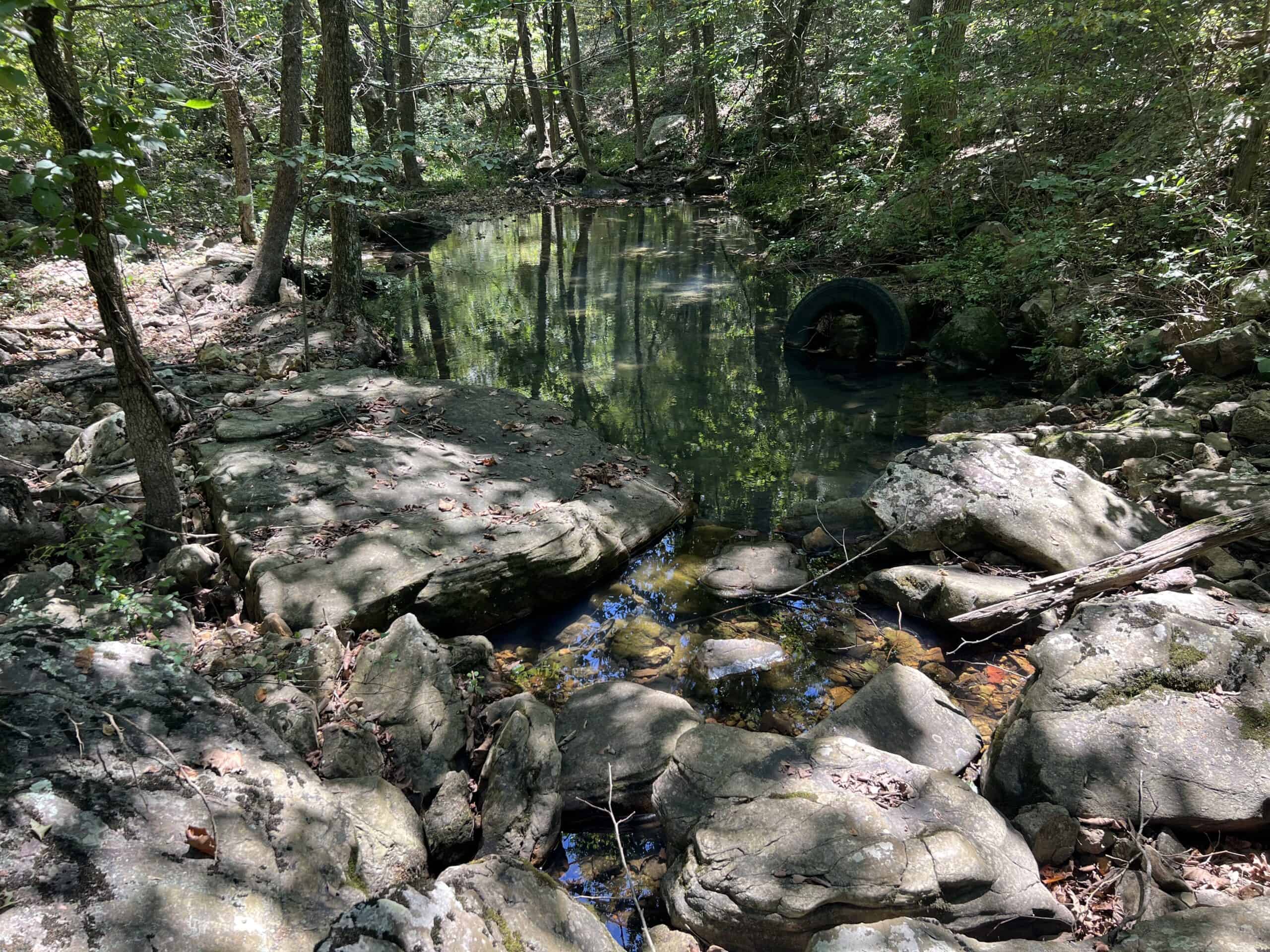 OZARKS  HUNTING & RECREATIONAL ACREAGE WITH A CAVE IN ARKANSAS