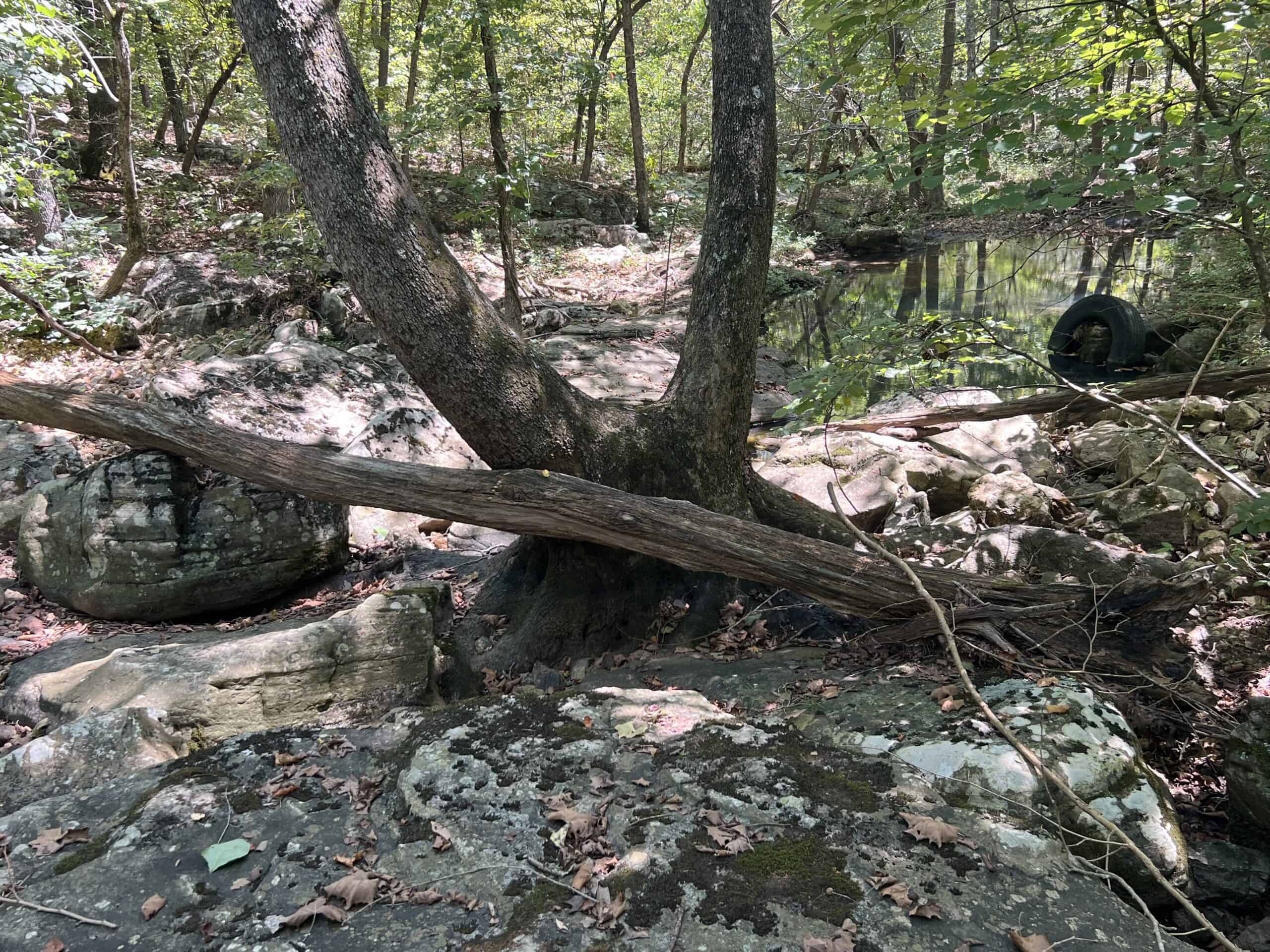 OZARKS  HUNTING & RECREATIONAL ACREAGE WITH A CAVE IN ARKANSAS