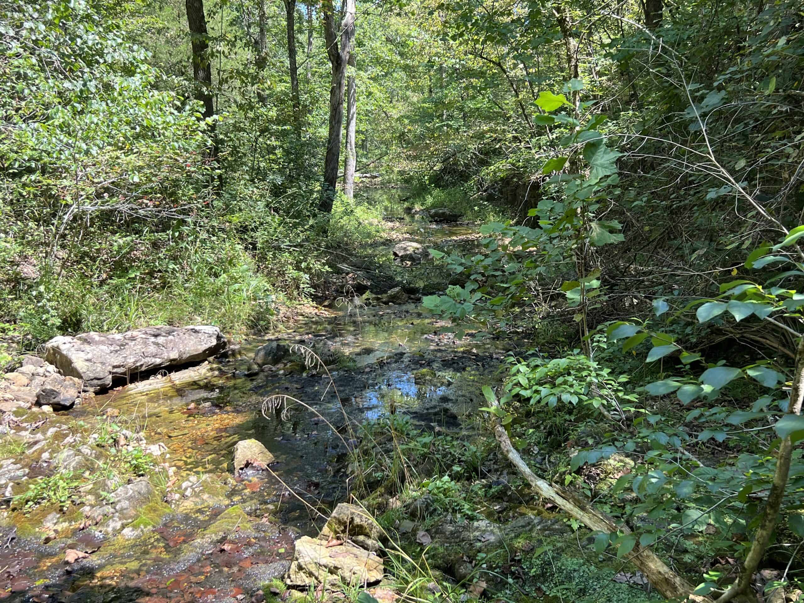 OZARKS  HUNTING & RECREATIONAL ACREAGE WITH A CAVE IN ARKANSAS