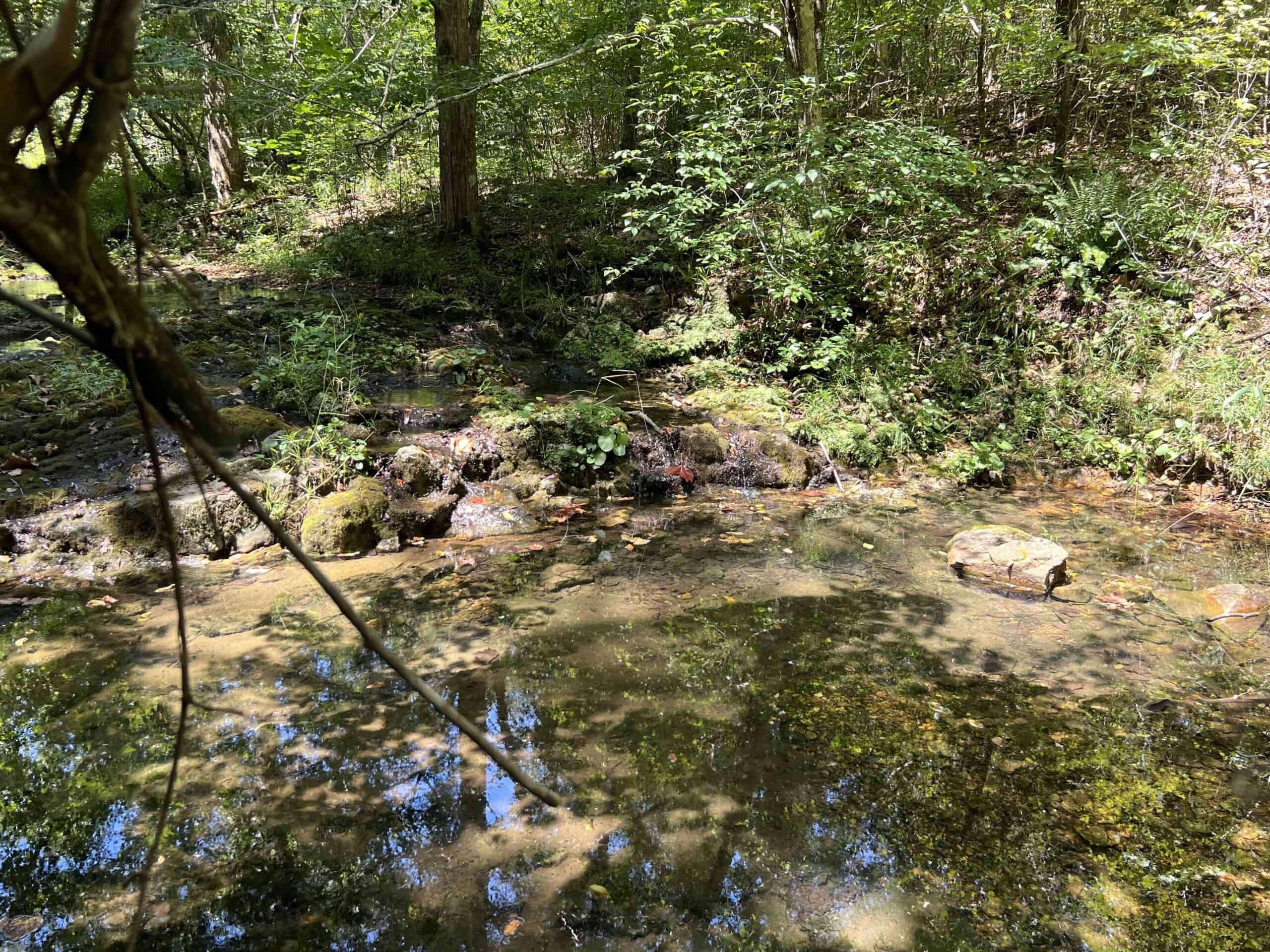 OZARKS  HUNTING & RECREATIONAL ACREAGE WITH A CAVE IN ARKANSAS