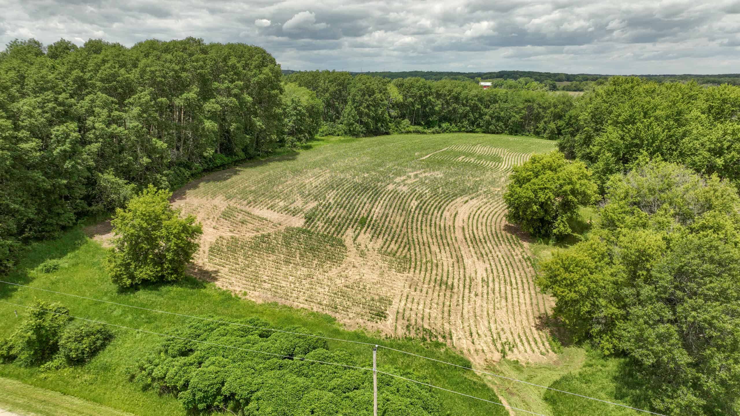 Rural Real Estate for Sale in Dane County, Wisconsin