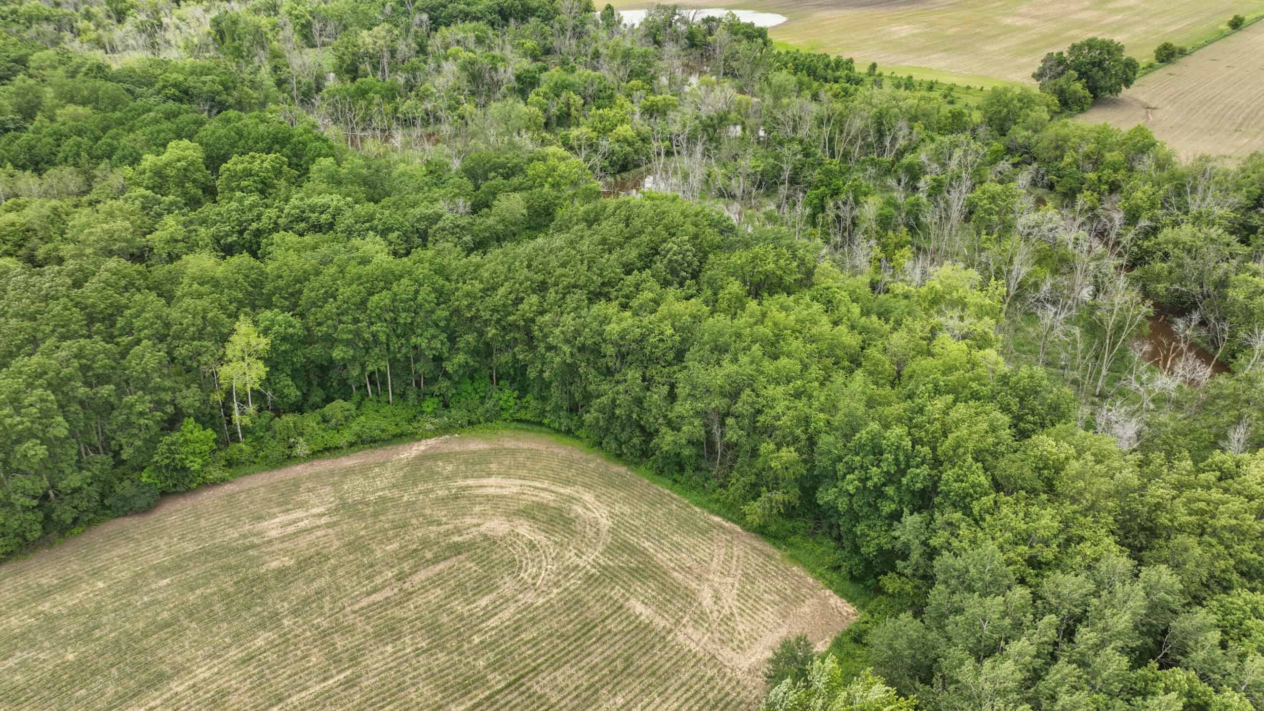 Rural Real Estate for Sale in Dane County, Wisconsin