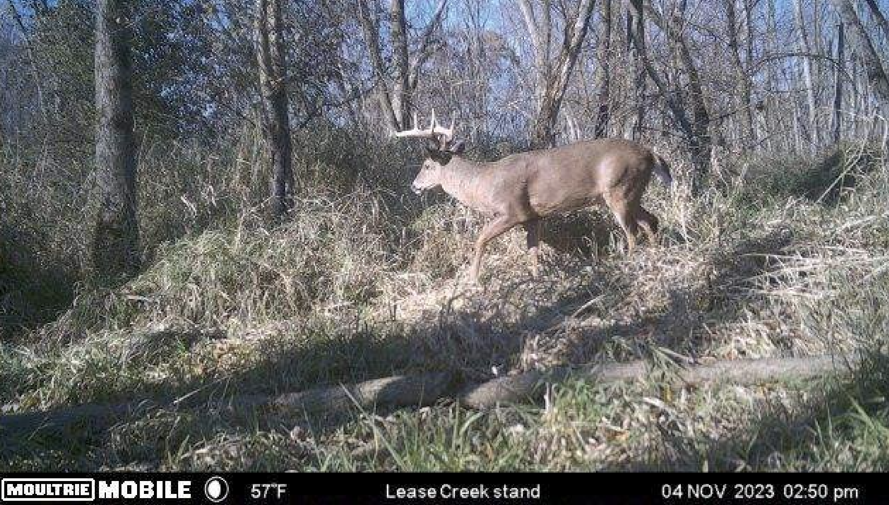 Rural Real Estate for Sale in Dane County, Wisconsin