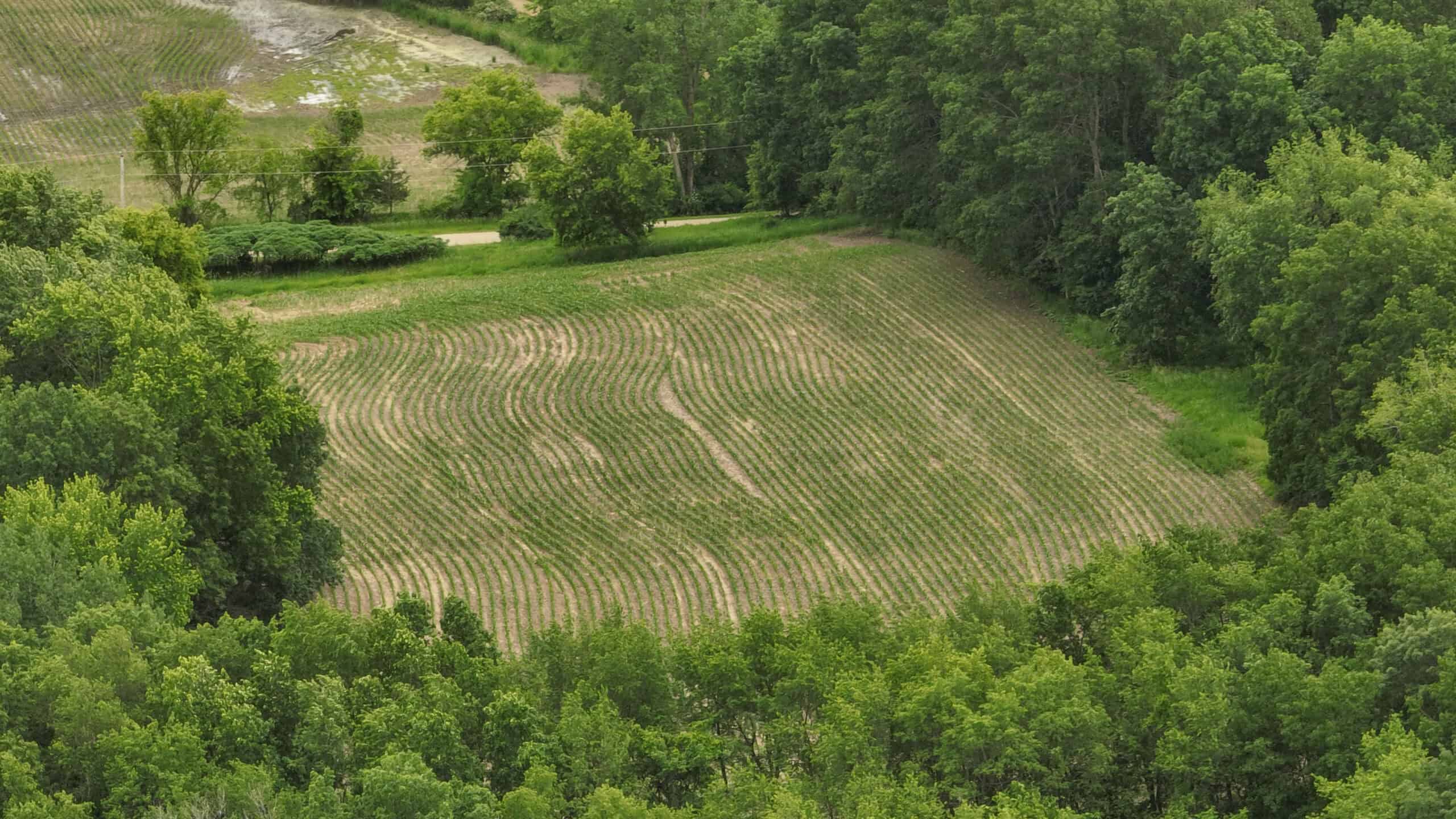 Rural Real Estate for Sale in Dane County, Wisconsin