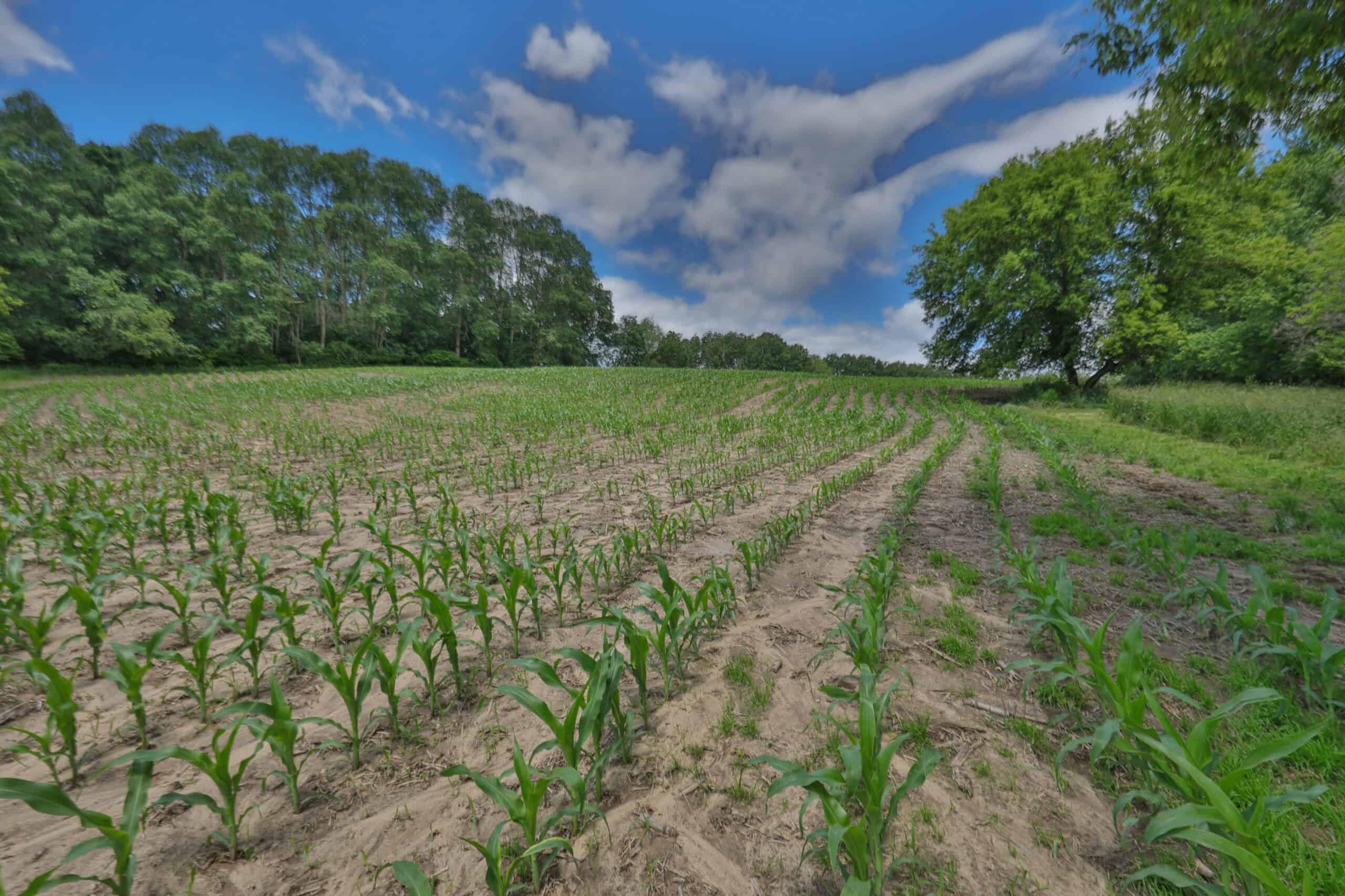 Rural Real Estate for Sale in Dane County, Wisconsin