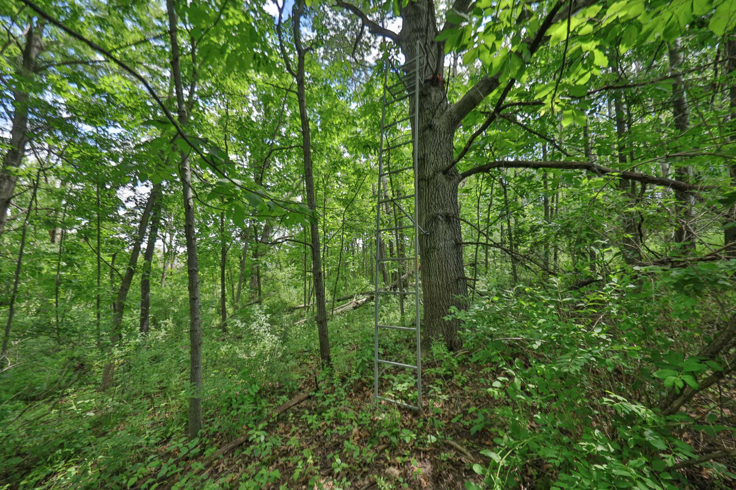 Rural Real Estate for Sale in Dane County, Wisconsin