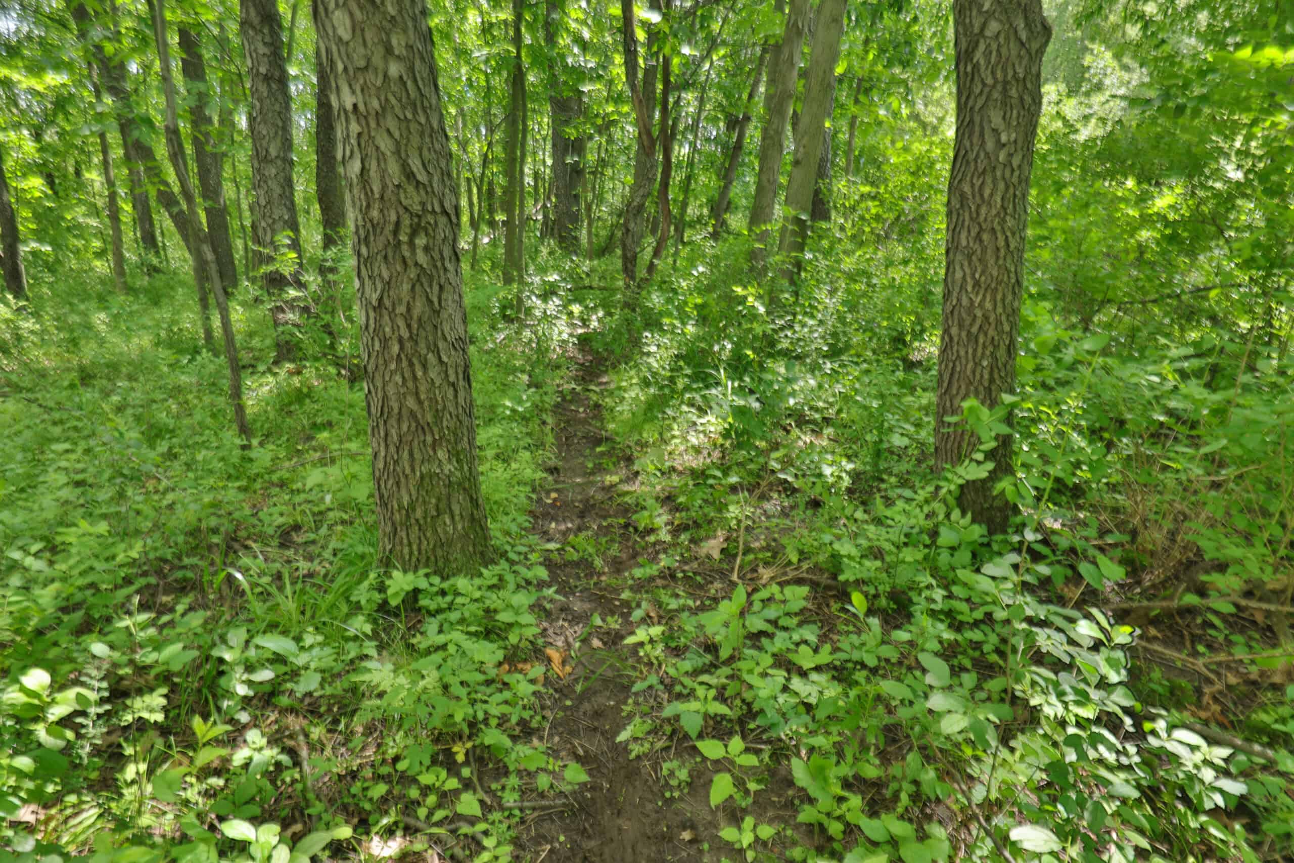 Rural Real Estate for Sale in Dane County, Wisconsin